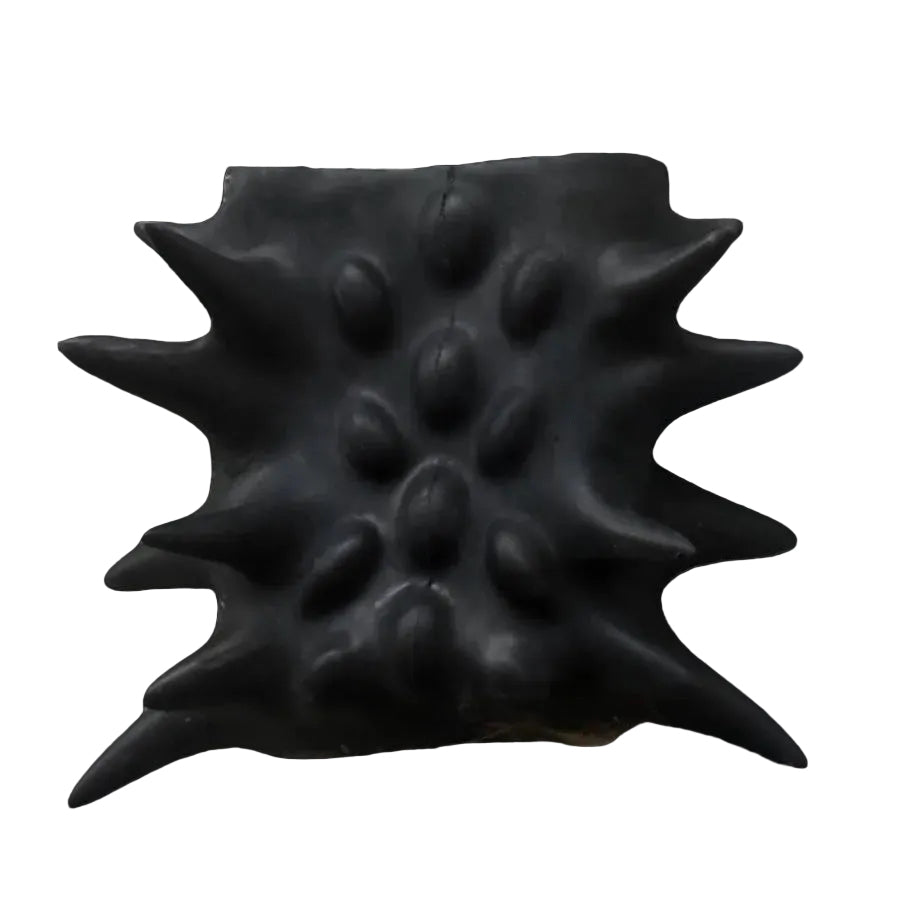 "Xeno" Silicone Backpack