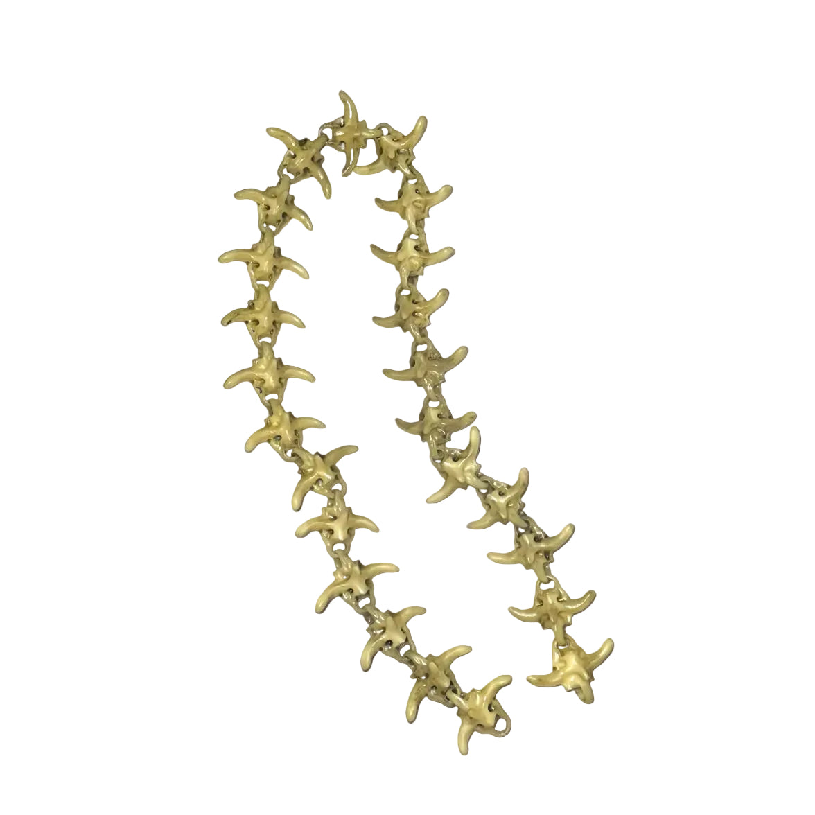 "Spine" Wallet Chain